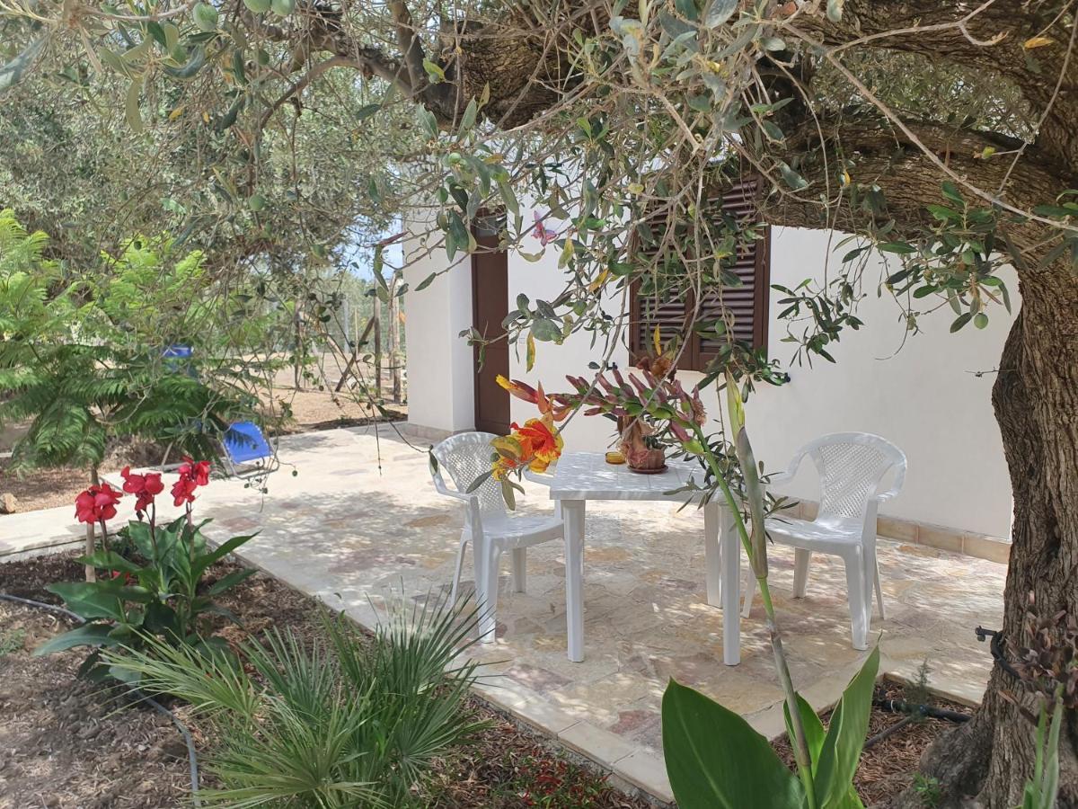 Agrisicilia Konuk evi Marinella di Selinunte Dış mekan fotoğraf