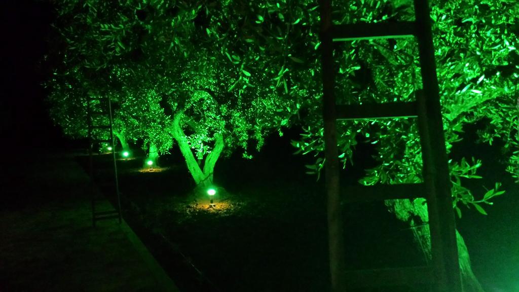 Agrisicilia Konuk evi Marinella di Selinunte Dış mekan fotoğraf