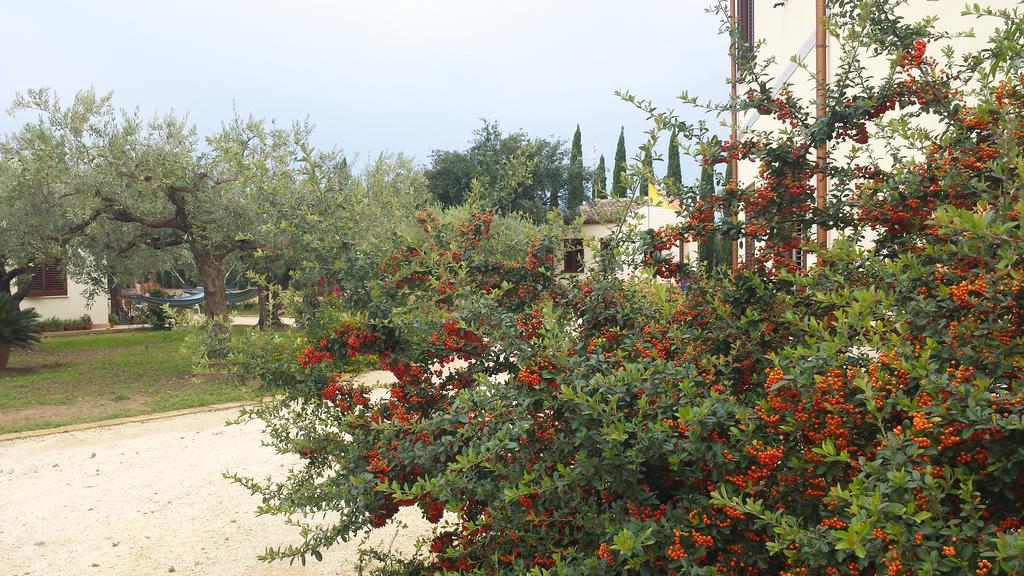 Agrisicilia Konuk evi Marinella di Selinunte Dış mekan fotoğraf